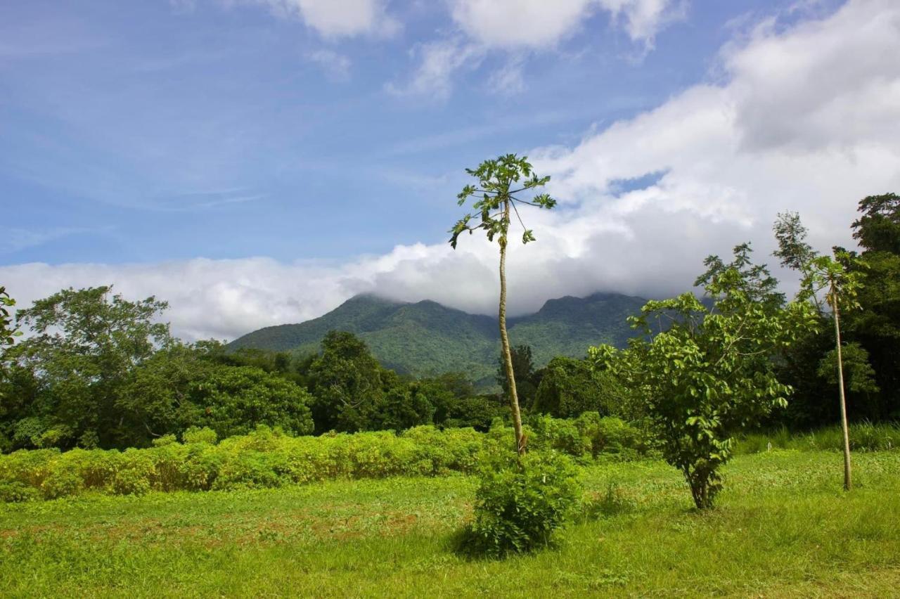 Lorenzo'S Farm And Leisure Santo Tomas ภายนอก รูปภาพ