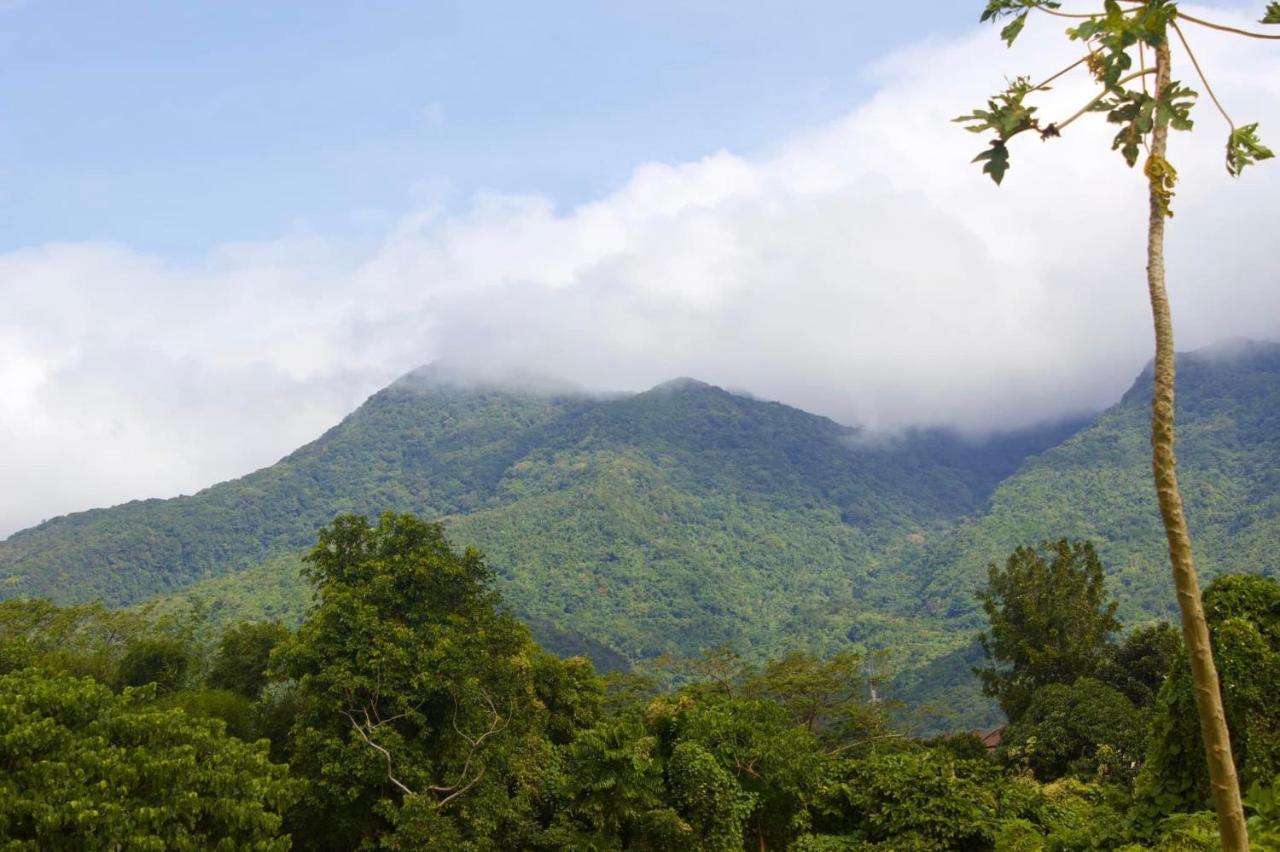 Lorenzo'S Farm And Leisure Santo Tomas ภายนอก รูปภาพ