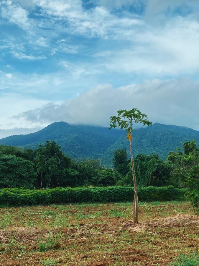 Lorenzo'S Farm And Leisure Santo Tomas ภายนอก รูปภาพ